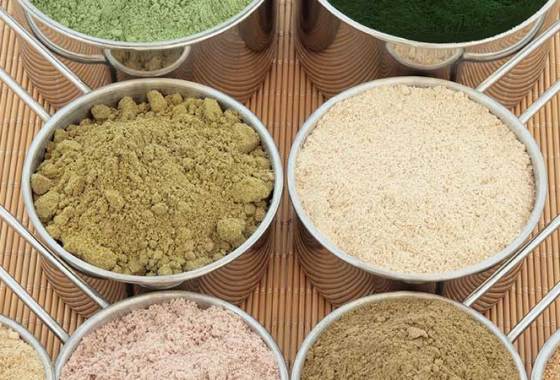 Best Plant-Based Protein Powders