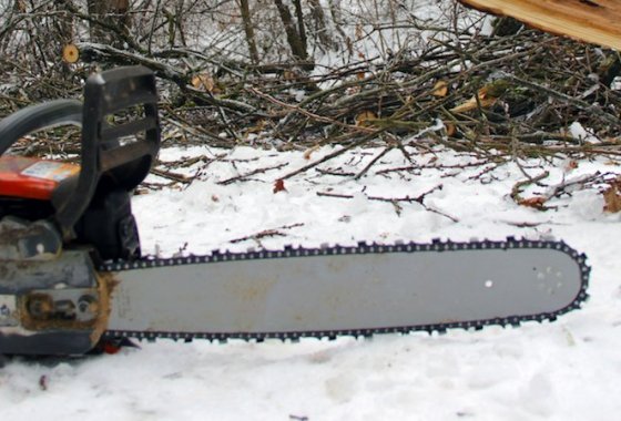 Best Husqvarna Chainsaws