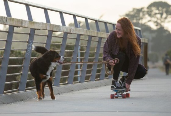 Best Skateboard Trucks