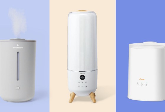 Best humidifiers to lessen the harmful effects of dry air