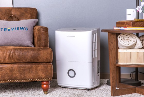 Which dehumidifier is best for basements?