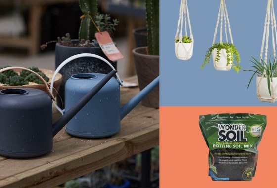 Fall indoor garden buying guide