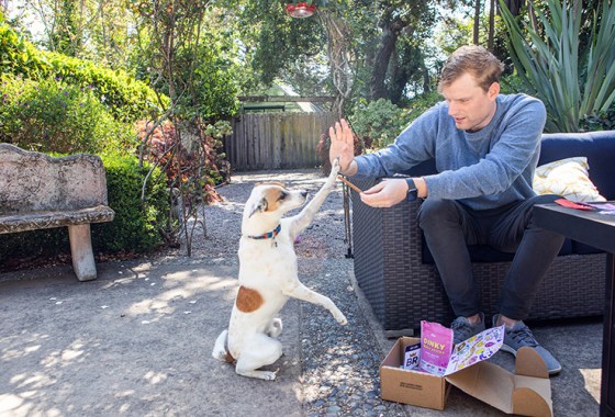 17 natural dog treats to consider for a healthy, happy pet