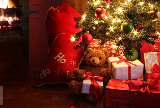 Best Christmas tree bag