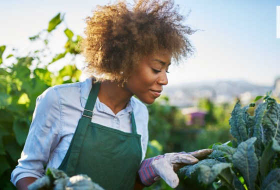 13 great gifts for those with green thumbs