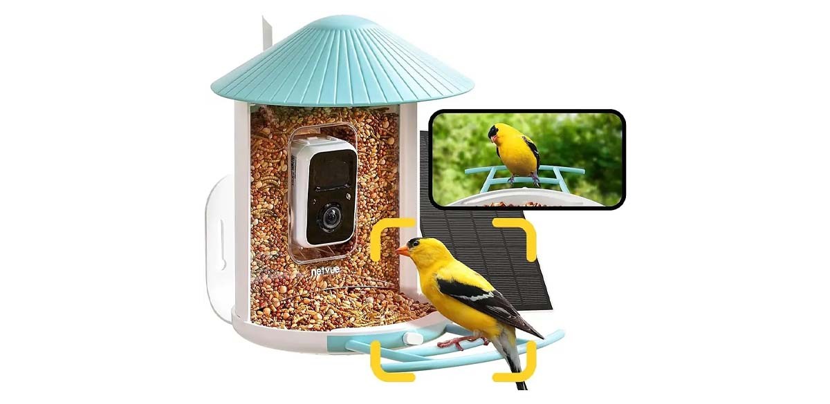 BIRDFY - Smart Wild Bird Feeder with Camera