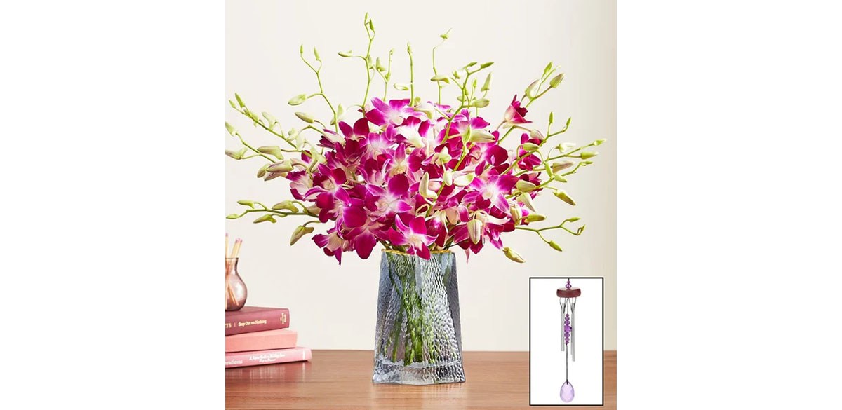 1-800 Flowers Exotic Breeze Orchids
