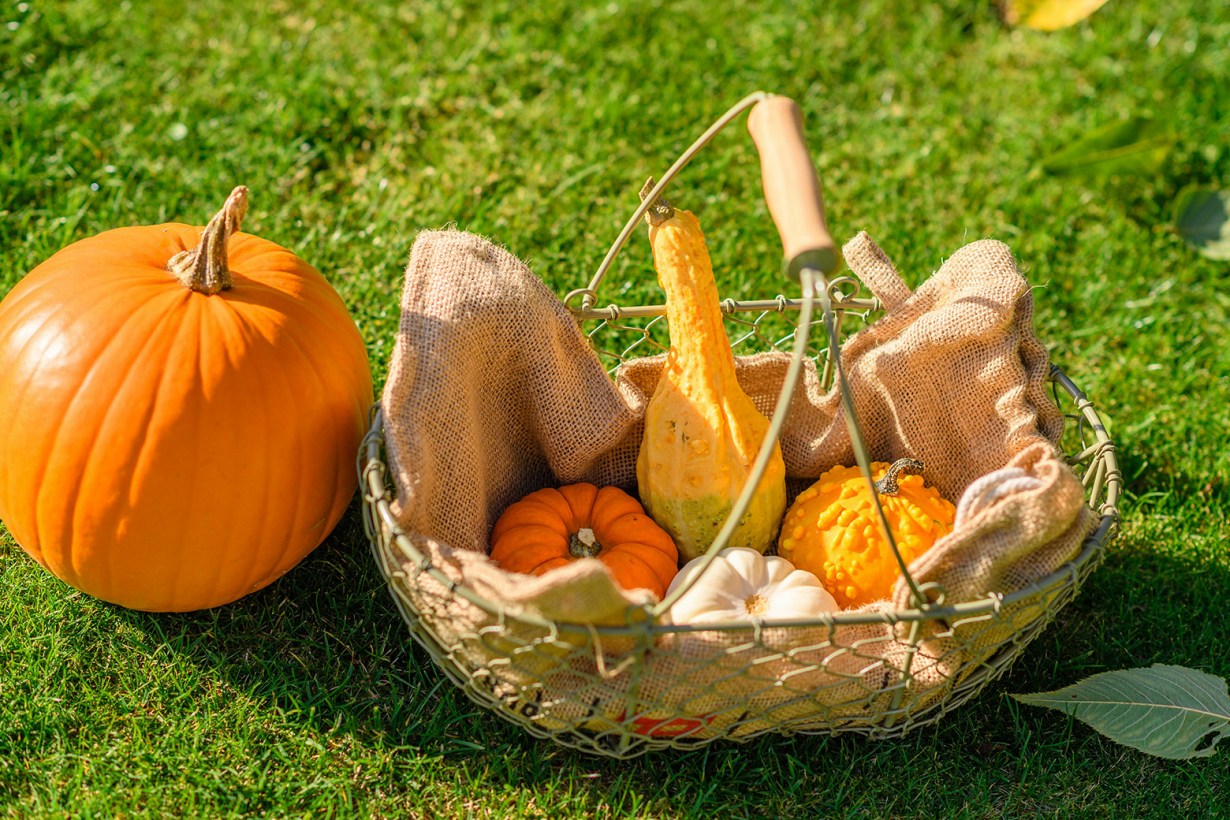 artificial pumpkin decoration