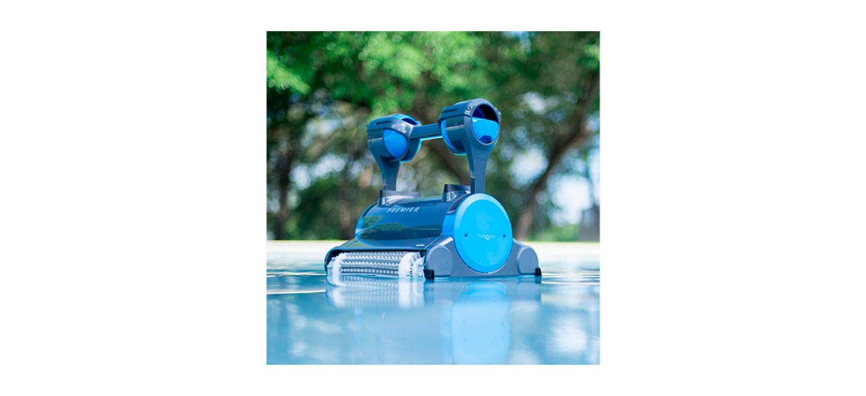 Best Dolphin Premier