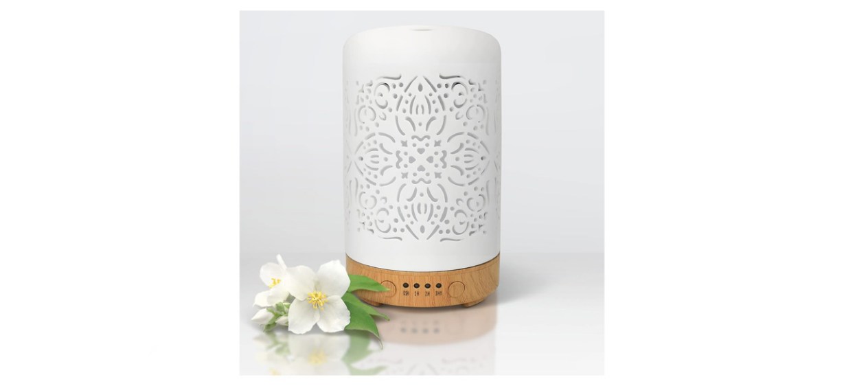 best Earnest Living Essential Oil Diffuser