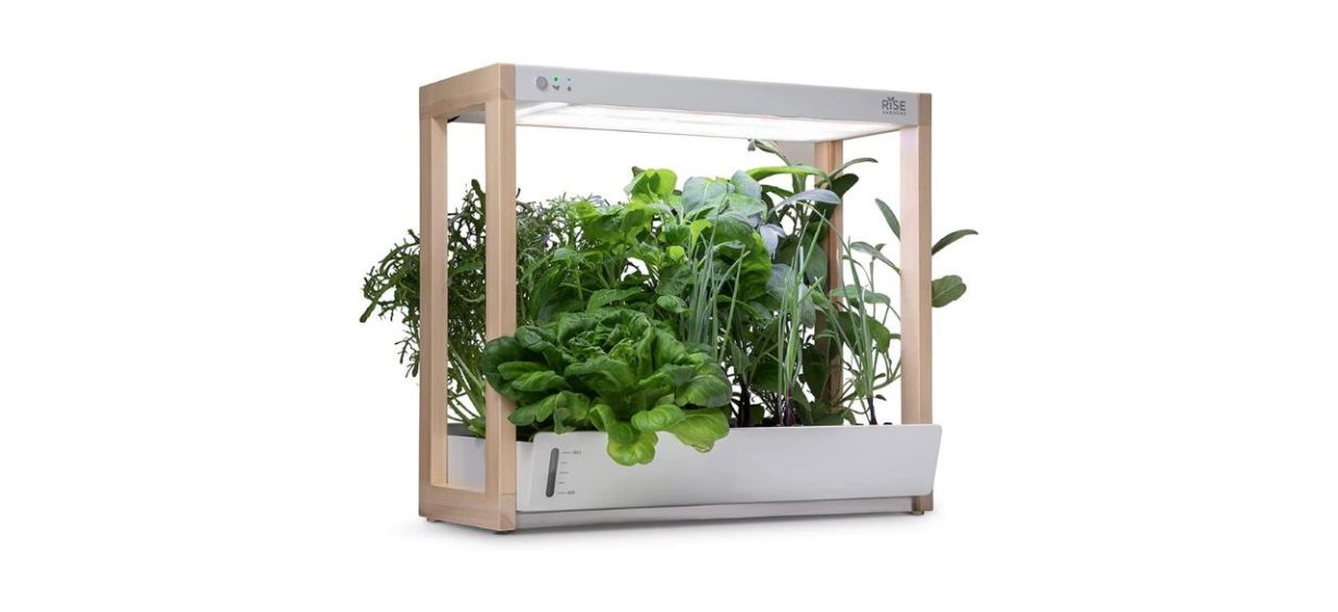 Best Rise Gardens Personal Garden