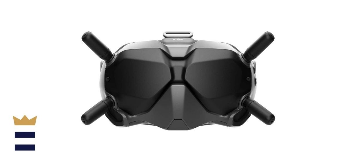 DJI FPV Goggles V2