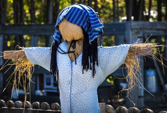How to make the best DIY scarecrow, according to our expert