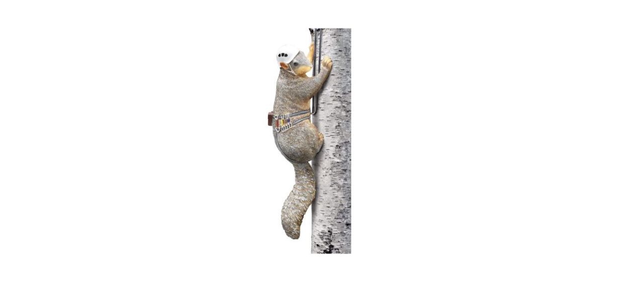 Squirrel Tree Climber