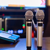 two microphones for karaoke