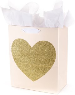 Hallmark 13" Large Gift Bag with Tissue Paper