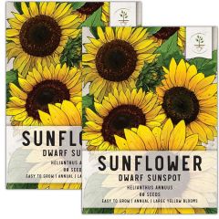 Seed Needs Dwarf Sunflower Seeds