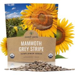 Sweet Yards Mammoth Grey Stripe Sunflower Seeds
