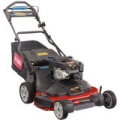 Toro TimeMaster Briggs and Stratton Personal Pace Mower, 30 Inches