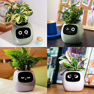 AMPULLA Ivy - Smart Flowerpot