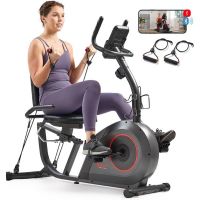 Sunny  Health & Fitness Smart Heavy-Duty Recumbent Bike