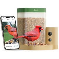 Birdfy Smart Bird Feeder with Camera for Rookie