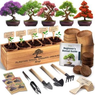 AVERGO Bonsai Tree Kit for Beginners