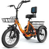 Qlife Triker Electric Tricycle
