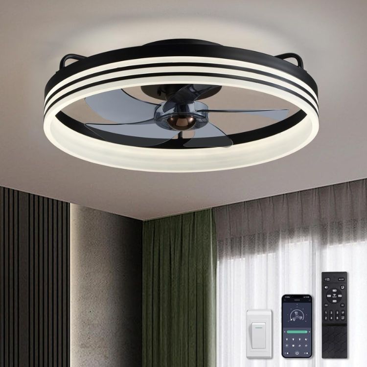 LUDOMIDE Ceiling Fans with Lights