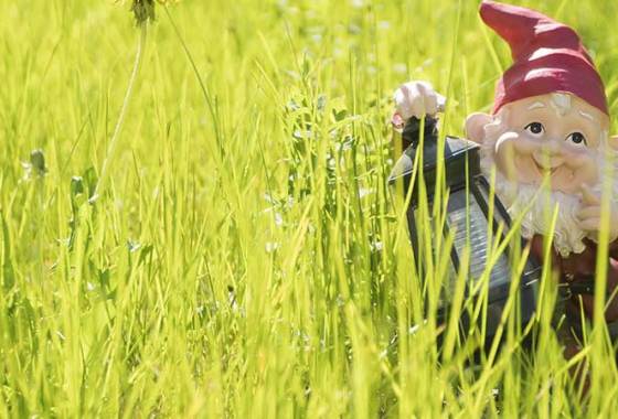 Best Garden Gnomes