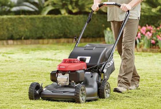 Best Honda Lawn Mowers