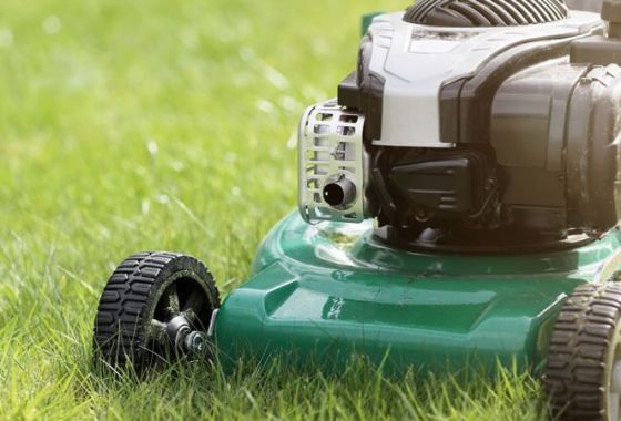 Best Gas Lawn Mowers