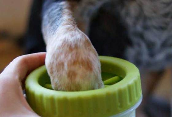 Best Dog Paw Cleaners