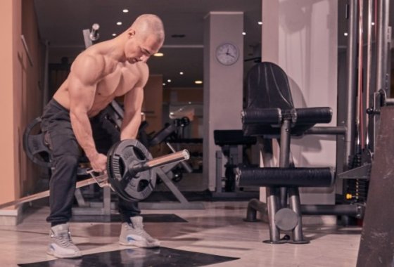 Best T-Bar Row Platforms