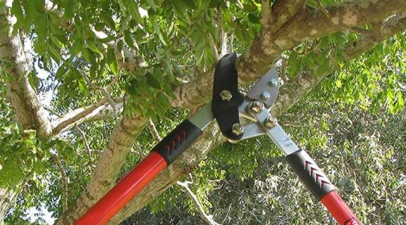 All the Top Pruning Shears - BestReviews