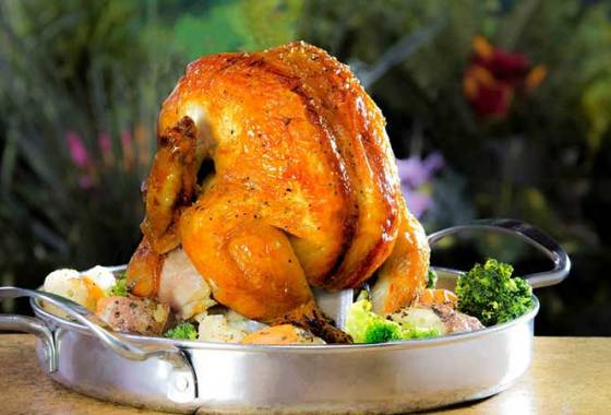 Best Beer Can Chicken Roasters