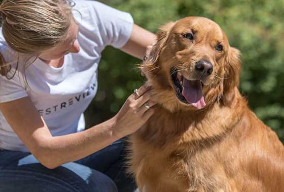 Best Personalized Dog Collars