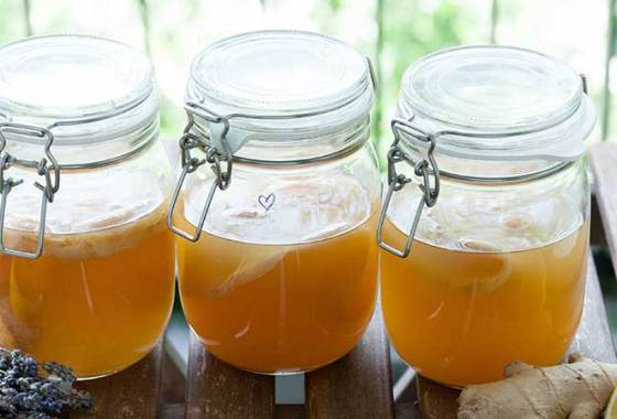Best Kombucha Starter Kits
