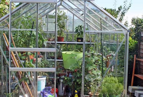 Best Greenhouses