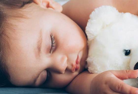 Best Care Bears Toys