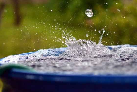 Best Rain Barrels