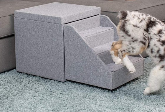 Best Dog Stairs & Steps