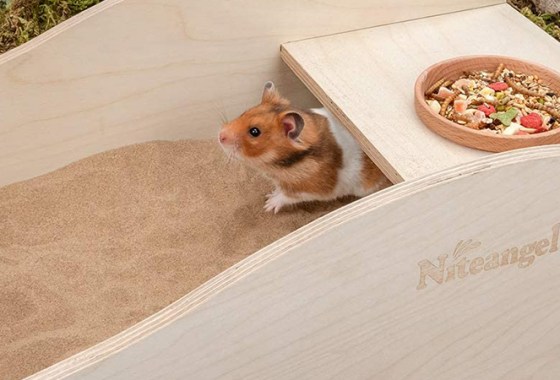 Best Small Animal Habitat Decor