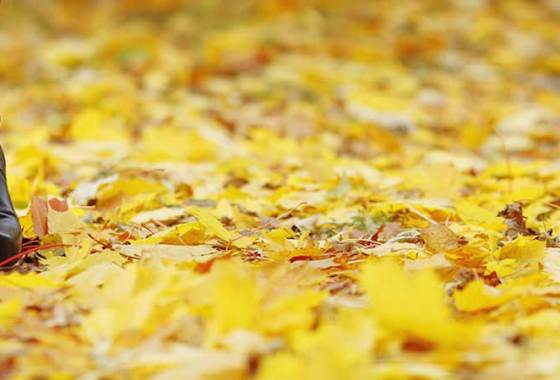 Best Women's Lucky Brand Boots