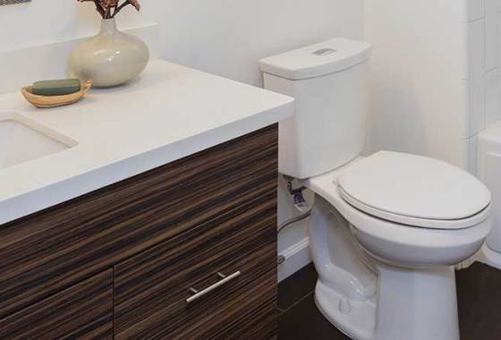 Best American Standard Toilets