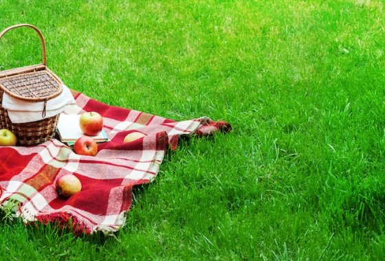 Best Picnic Baskets