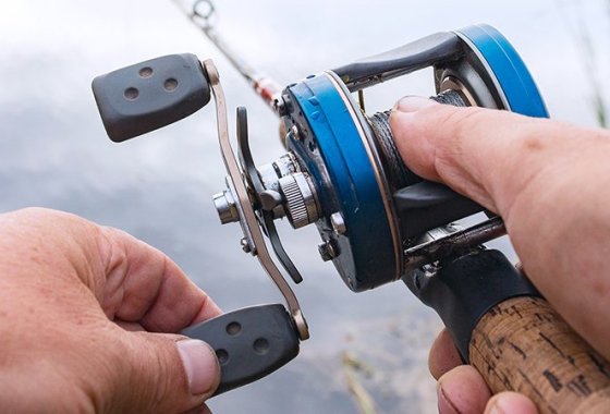 Best Baitcasting Reels