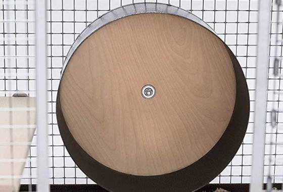 Best Chinchilla Wheels