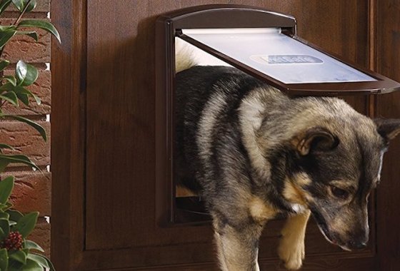 Best Pet Doors