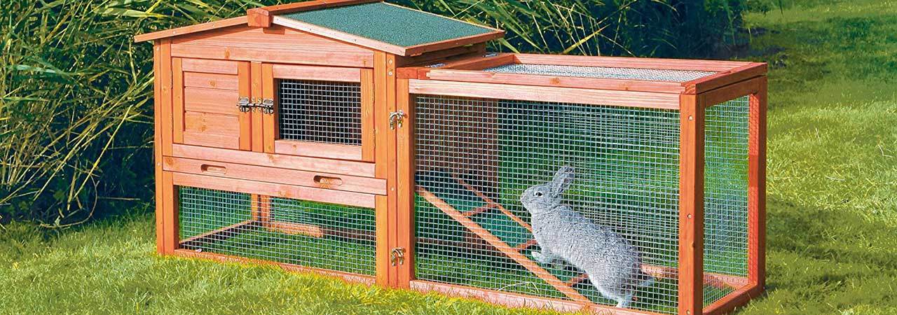 5 Best Outdoor Rabbit Hutches - May 2021 - BestReviews